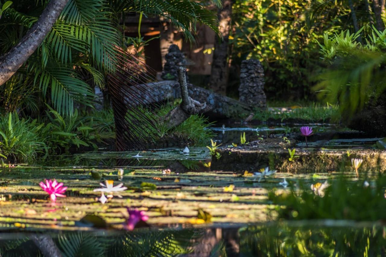 Hotel Pondok Sari Beach & Spa Resort Pemuteran Dış mekan fotoğraf